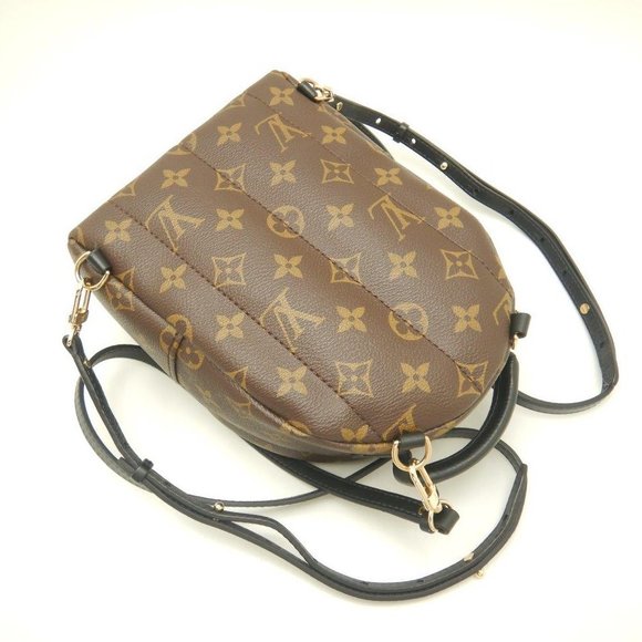 Louis Vuitton Monogram Palm Springs Backpack MINI Brown - Picture 4 of 8